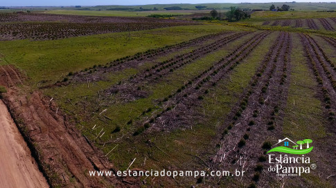 DOS EÓLICOS VIRA P FAZENDA_Moment.00_01_17_19.Quadro320_7793e40100796c3a9dfe5f7291c43b2b8b529fc2.jpg